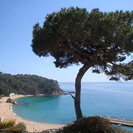 Villa Puchi *
